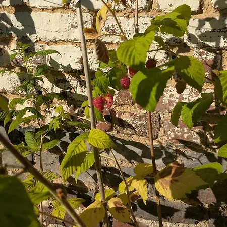 La Cachette De Lola Σπίτι διακοπών