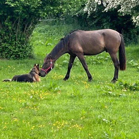 Σπίτι διακοπών La Cachette De Lola Beaurainville